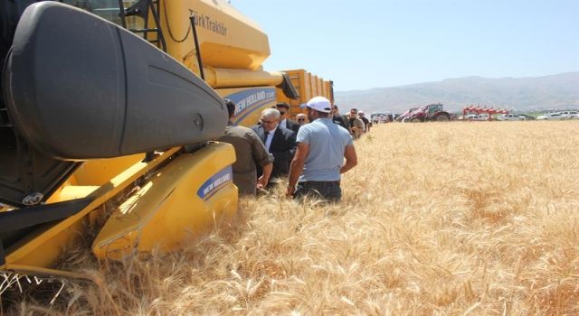 Muş Ovası'nda hububat hasadı başladı