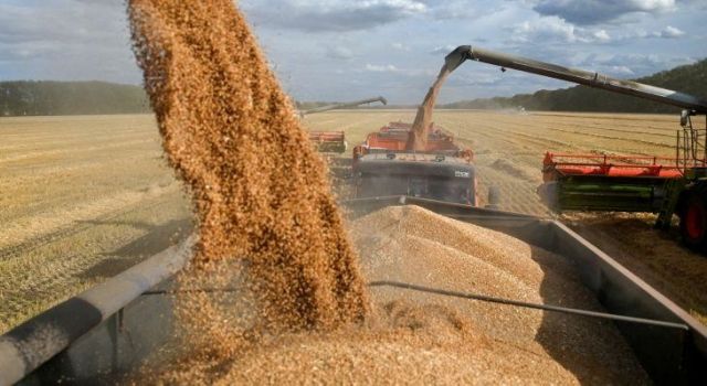 Putin'den Afrika'ya tahıl garantisi