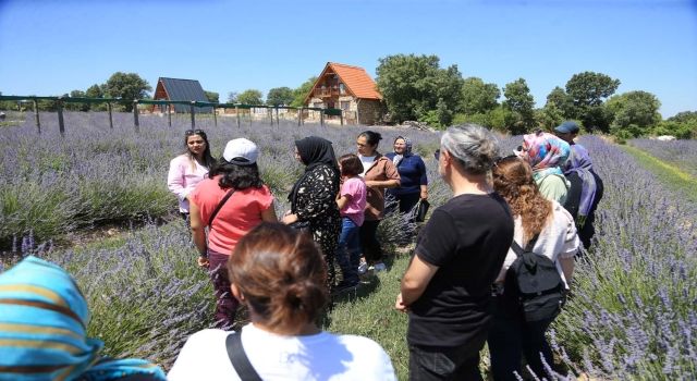 Tıbbi ve aromatik bitki yetiştiriciliği kursuna ilgi büyük