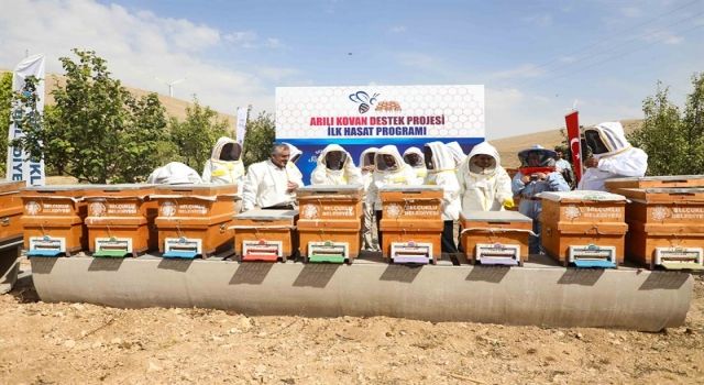 Arılı kovan destek projesinde ilk hasat yapıldı