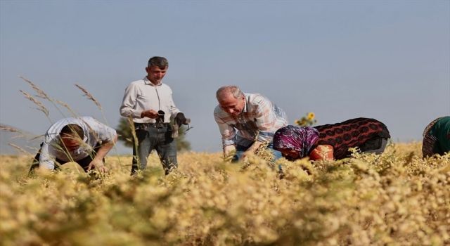 Başkan Zolan ile hasat bereketi