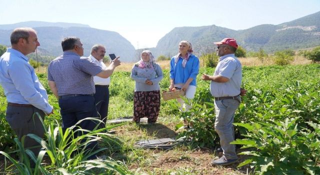 Bilecik belediyesi tarıma ve çiftçiye desteğini sürdürüyor