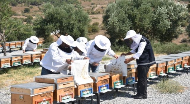 Büyükşehir’in bu desteği bal veriyor