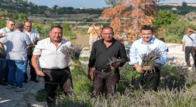 Çaltıbozkır'da lavanta hasat şenliği yapıldı