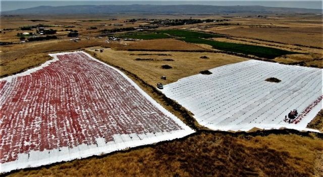 Diyarbakır’dan Dünya mutfağına yolculuk