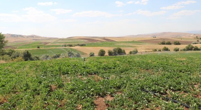 Elazığ’da 5 bin 700 dekar tarım arazisi suya kavuşacak