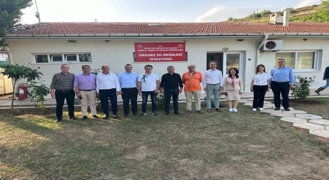 İzmir sularına 5 milyon yavru sazan