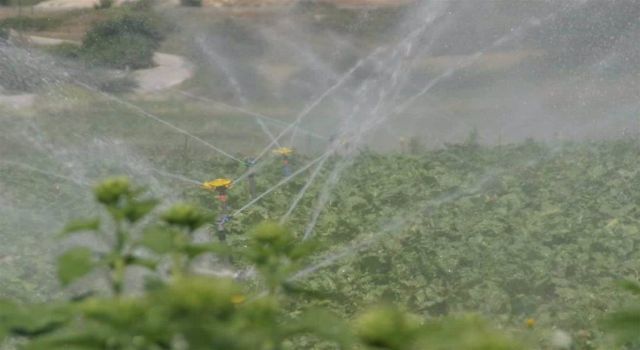 Kayseri Şeker çiftçinin yüzünü yine güldürdü