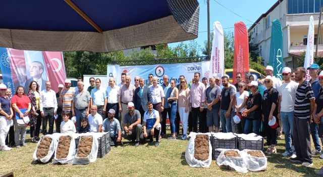 Samsun’da çilek fidesi ve damla sulama sistemi ekipmanı dağıtıldı