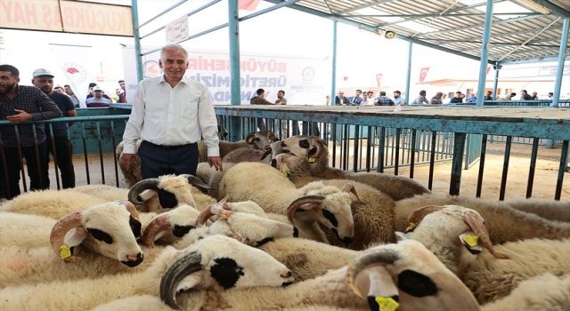 Üreticiler, Büyükşehir destekleriyle nefes alıyor