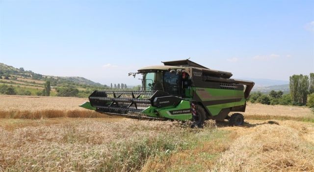 Yenişehir’de yeni çeşit buğdaylar hasat edildi