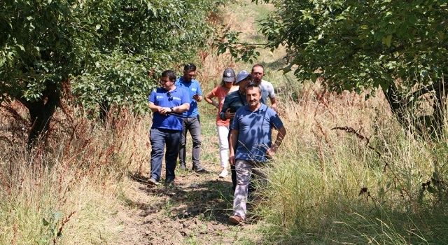 Agroekolojik (Ekolojik Tarım) Yönetim Sistemi Saha Çalışmaları Devam Ediyor