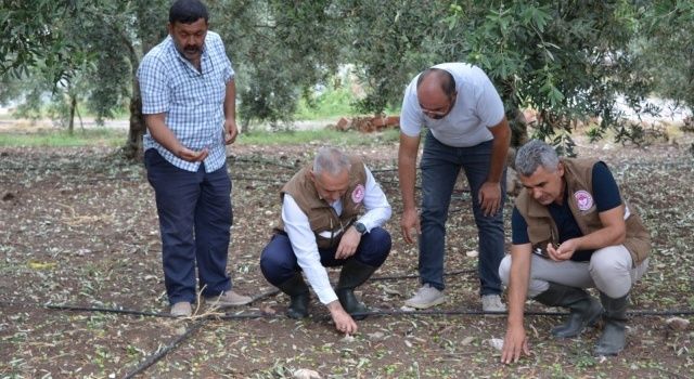 Akhisar’da Doludan Zarar Gören Arazilerde Hasar Tespit Çalışmaları Yapılıyor