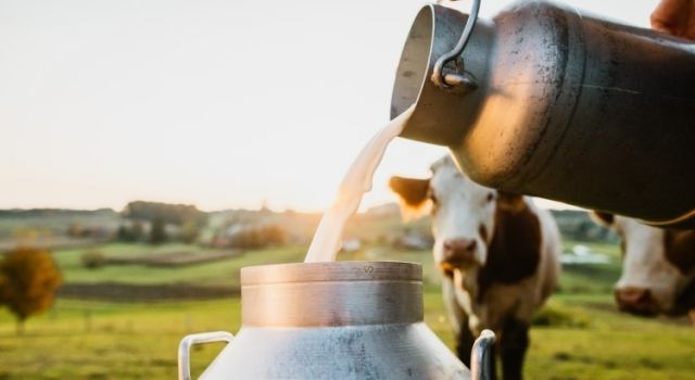 Bolulu Çiğ Süt Üreticilerine 6 Milyon 850 Bin TL Destek