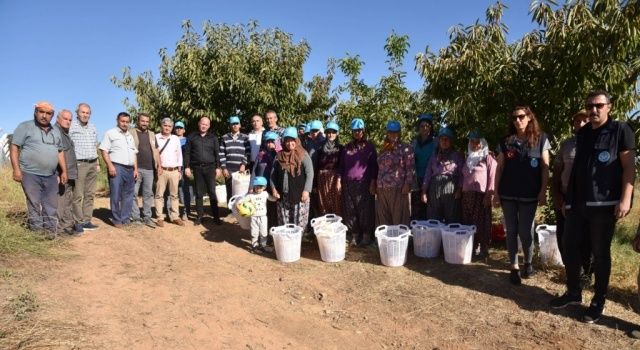 Börülce Hasadındaki Emekçilere Koruyucu Ekipman Dağıtıldı