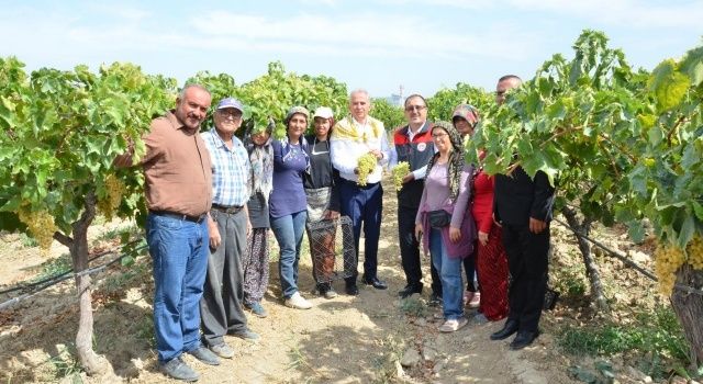 Çınar: Üzüm üretiminde ülkemizin önde gelen üretici illerinden bir tanesiyiz