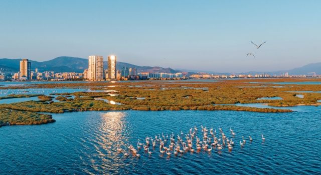 Doğa Derneği ‘Doğayı Savunanlar için Savunuculuk Rehberi’ Yayımladı