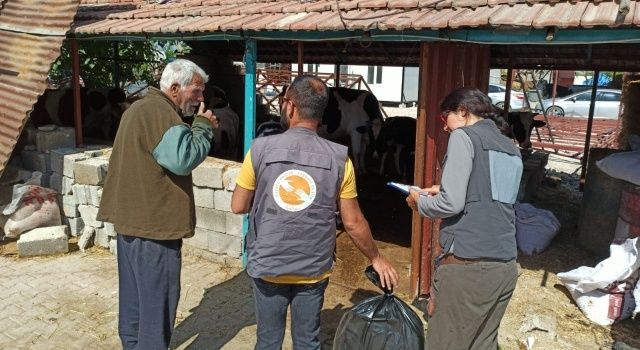 Hayata Destek Derneği deprem bölgesindeki 3.600 hayvanın yem ihtiyacını karşıladı