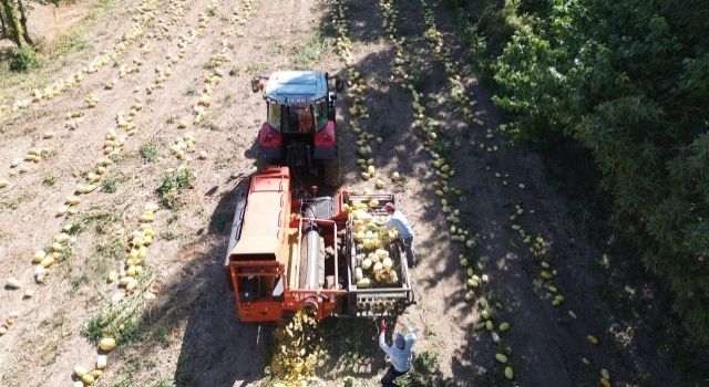 Konya Büyükşehir’in Kabak Çekirdeği Eleme Tesisi Üreticiye Kolaylık Sağlıyor