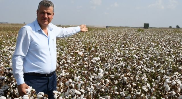 Maliyetler artarken pamuk fiyatları geriliyor