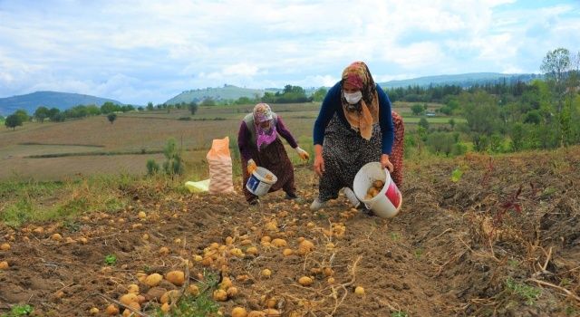 Samsun Büyükşehir’den Tarıma Büyük Destek