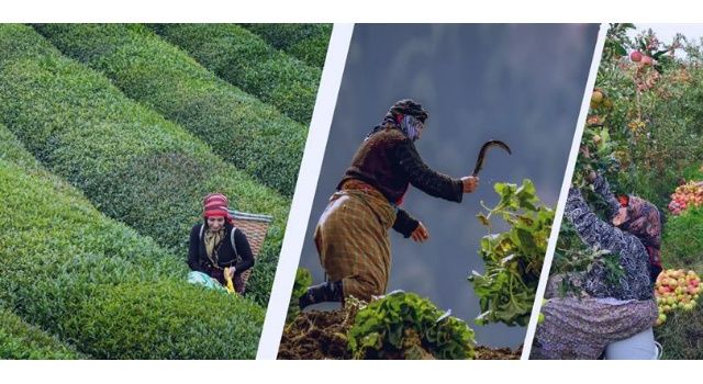 Tarım Ve Orman Bakanı Yumaklı, 21 Yılda Kadın Üreticilere Çeşitli Alanlarda Yaklaşık 15 Milyar Lira Destek Verdiklerini Açıkladı