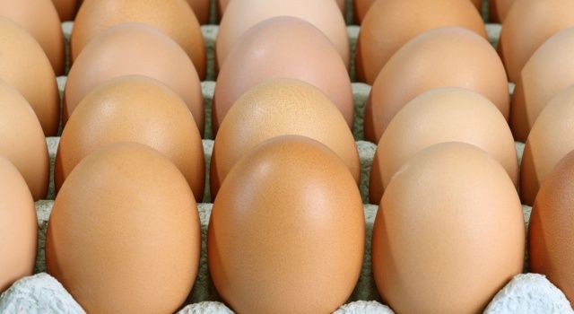 Tavuk yumurtası üretimi yıllık %4,5 arttı