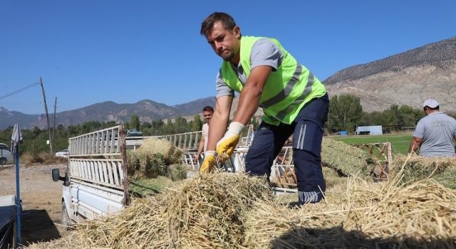 Üreticilere Yonca Balyası Desteği