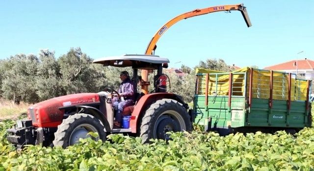 Yerli ve Milli Çeşitler Hayvancılığa da Katkı Sağlıyor