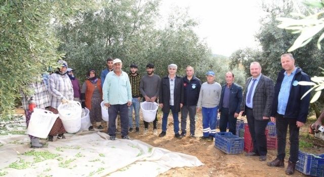 Ahmetli’de Zeytin Emekçilerine Büyükşehir’den Koruyucu Malzeme