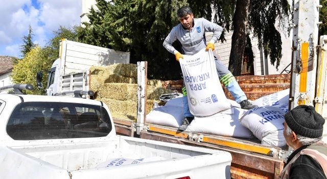 BAKAP Mahsülleri Başkentli Çiftçilerin Yüzünü Güldürüyor