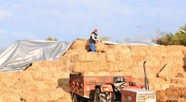 Büyükşehir’den Küçük Üreticiye Ot Balyası Desteği