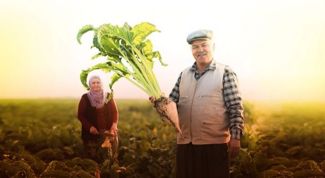 Kayseri Şekerden Pancar Çiftçisine 193 Milyon 247 Bin TL Söküm Avansı