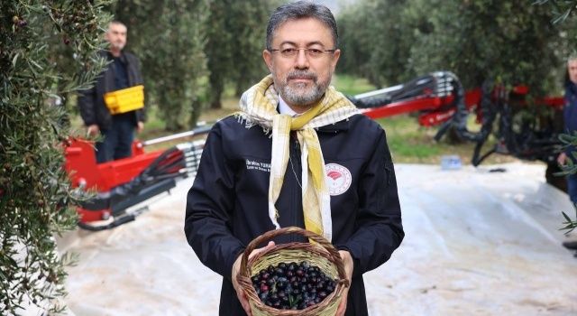 Bakan Yumaklı, Zeytin Üzerinden Yapılan Spekülasyonlara İtibar Etmeyin