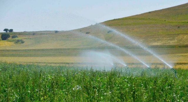 Borçlu Tarımsal Sulama Abonelerine Enerji Verilmeyecek!