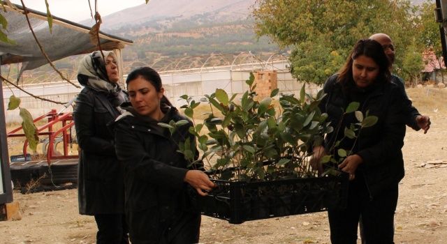 Büyükşehir Belediyesi’nin fidan destekleri sürüyor