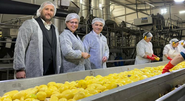 İl Tarım Müdürü Zekeriya Ar, Patates Tesisinde İncelemelerde Bulundu