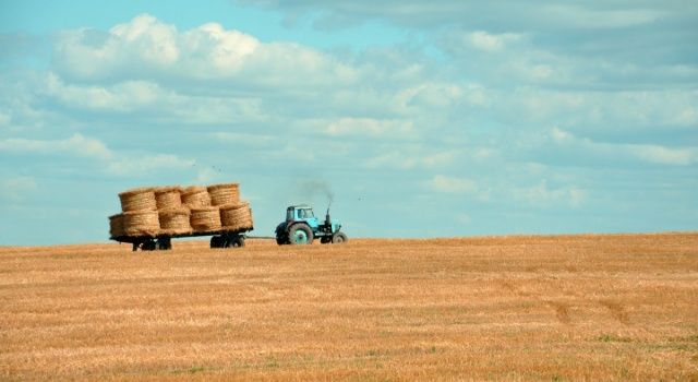 Tarımsal Girdi Fiyatları Yıllık Yüzde 40 Arttı