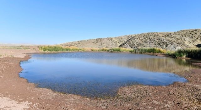 Ankara Büyükşehir Belediyesinden Hayvansal İçme Suyu ve Tarımsal Sulama Göleti