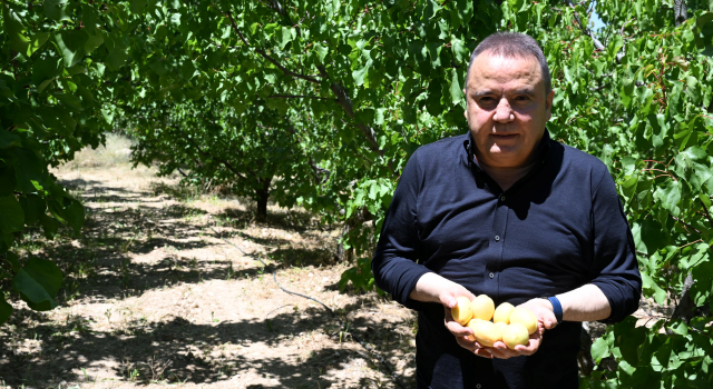 Büyükşehir Belediyesi’nden tarıma büyük destek