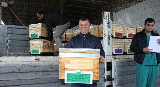 Kemer’de arı üreticilerine kovan desteği