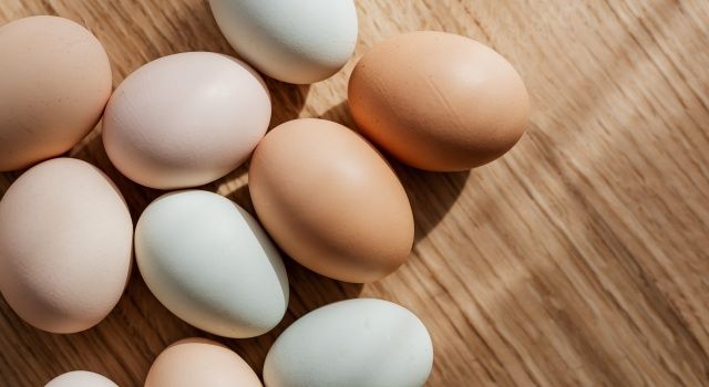 Tavuk yumurtası üretimi %3,5 arttı
