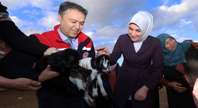 Afyonkarahisar Valisi Yiğitbaşı Işıklar'da Hayvancı Üreticileri Ziyaret Etti