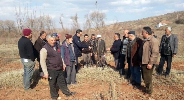 Bahşili’de Çiftçilere Budama Eğitimi