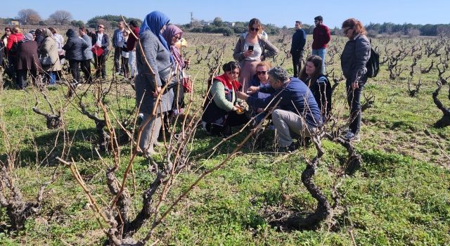 Bozcaada’da Çiftçilere Modern Bağcılık Eğitimi