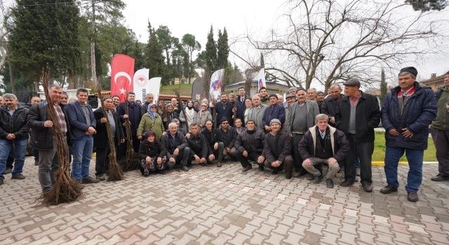 Büyükşehir’den Üreticilere Meyve Fidanı Desteği