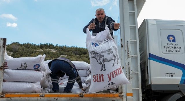 Büyükşehir’in yem desteği yüzleri güldürüyor