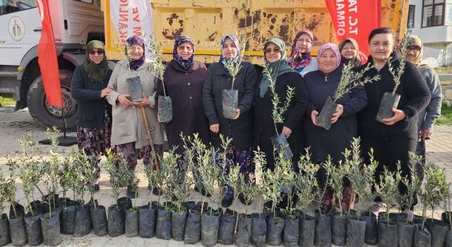 Çanakkale'de yangın mağduru çiftçilere zeytin fidanı desteği