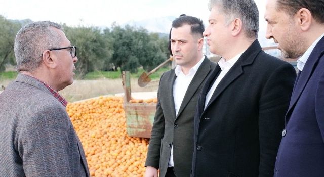 DEVA Partisi Adana Milletvekili Kısacık, narenciye üreticilerinin sorunlarını dinledi
