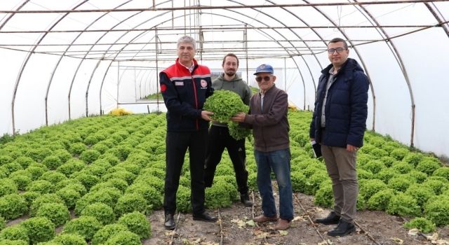 Edirne'de seralar yenileniyor